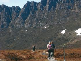 Walking on the Overland Track