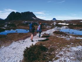 Walking along the Overland Track