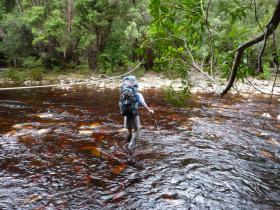 River crossing on the South Coast Track
