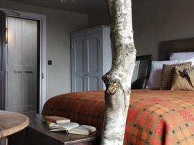 Told you there were trees in the bedrooms!