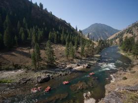 Middle Fork of the Salmon River, Idaho, USA
