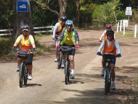 Cycling in Tasmania