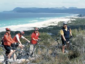 Tasmania activity tour