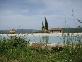 the pool