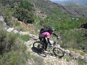 riding singletrack