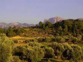 landscape around yurt
