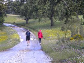 Self guided walking holidays in Portugal