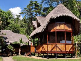 Sustainable jungle accommodation