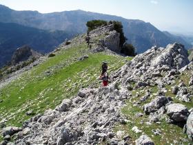 La Carrasca
