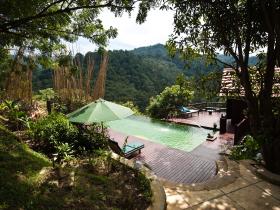 The pool and jungle views