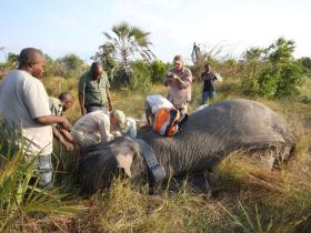 Tanzania family wildlife holiday