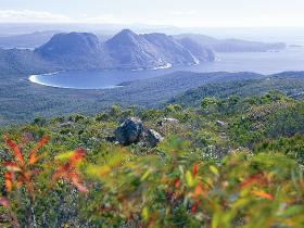 View from Mt Graham