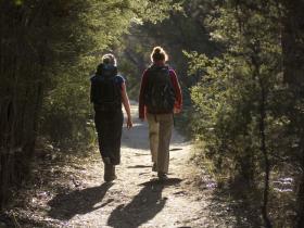 Walking on Freycinet