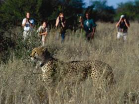 Walking Safari at Okonjima