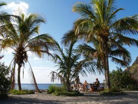 Terrace under coconut trees