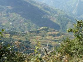 Himalaya terrace cultivation