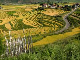 Prayer flags in the Punakha Valley, Bhutan