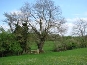 The path from Chipping Norton