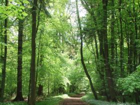 Heythrop estate