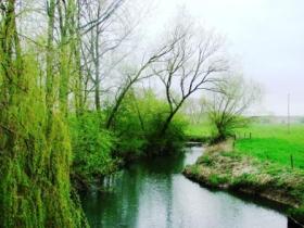 The River Thame at Waterstock
