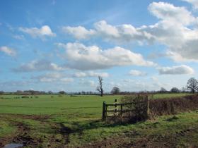 Oxfordshire landscape