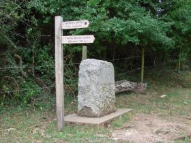 The Source of the River Thames