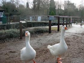 Sandford Lock