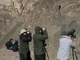 Looking for Snow Leopards