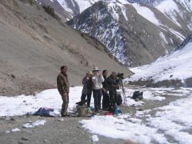 Clients finding snow leopards!