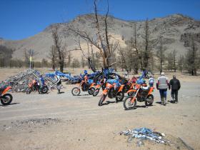 Stop for a break at sacred tree