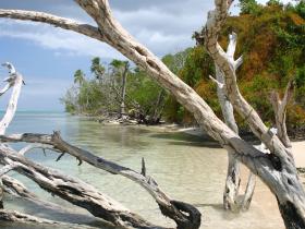 No mans land Tobago