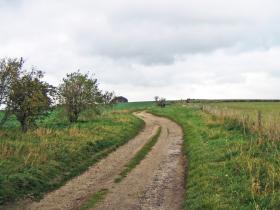 The west end of the Ridgeway at Overton Hill