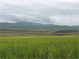 The wide-open spaces of the Mongolian heartland