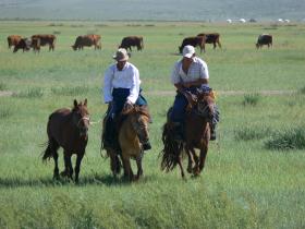 Witness superb horsemanship