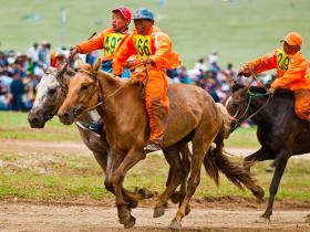 Spend an incredible  day at the �Horse Trainer�s Naadam�