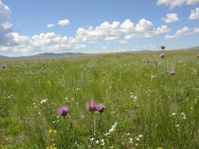 The wide-open spaces of Mongolia's heartland