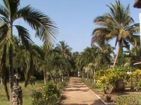Drive Way