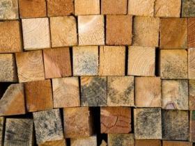 Trentino Wood