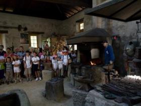 Rural experience for families