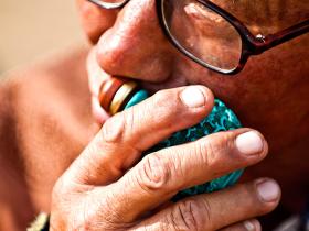 Experience nomadic traditions