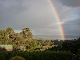 View across the vineyard to D'Entrecasteaux Channel