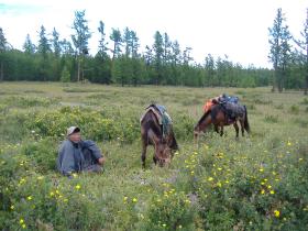 See it from a local perspective - one of our horse wranglers