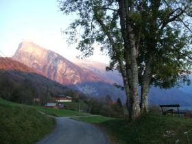 A Typical View
