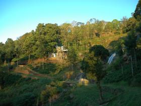 Unique plantation stay amidst nature