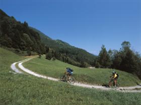 MTB Experience
