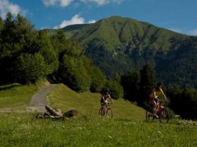 MTB Trials