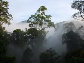 Borneo and Malay Peninsula holiday