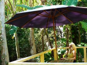 Rainforest View at Villa Marine