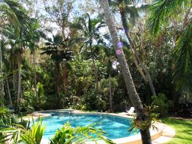 Huge lagoon pool faces rainforest at Villa Marine