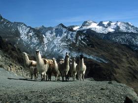 Inca Trail